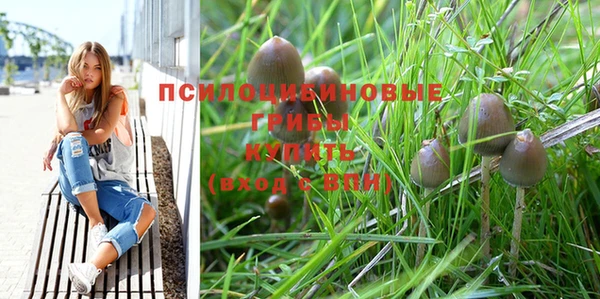 a pvp Медногорск
