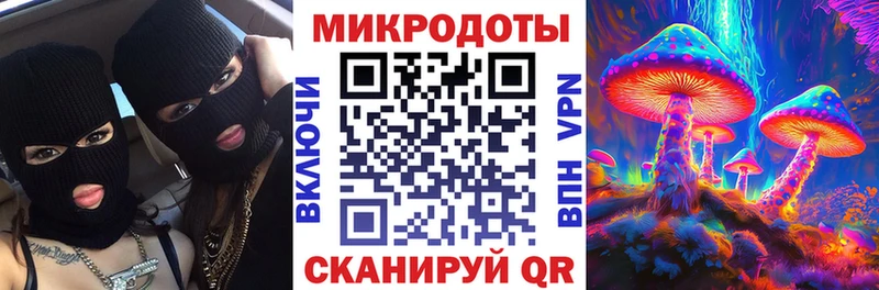 Галлюциногенные грибы мицелий  продажа наркотиков  Данилов 